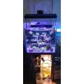 LED Aquarium Light Freshwater WiFi Control UV S80