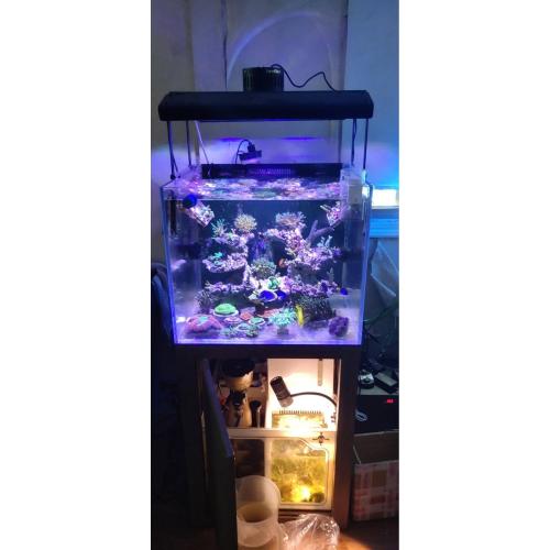 LED Aquarium Light Słodkowodne Wifi UV Control S80