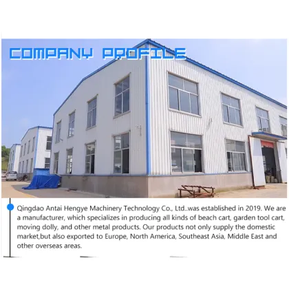 Used Motorcycle Ramps Multifunction PR001 - Easy to Use Motorcycle Sliding Ramp at a Low Price