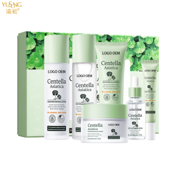 Conjunto de cuidados com a pele da Centella Natural: hidratar, reabastecer e reparar - conjunto de cuidados com a pele de seis peças