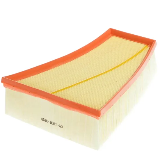 Auto Air Filters for Ford - 1698684, 1479059, 1465170, 1418883, 6G91-9601-AA, 6G91-9601-AC" 

This title includes key part numbers that would help users find the appropriate air filters for their Ford vehicles.