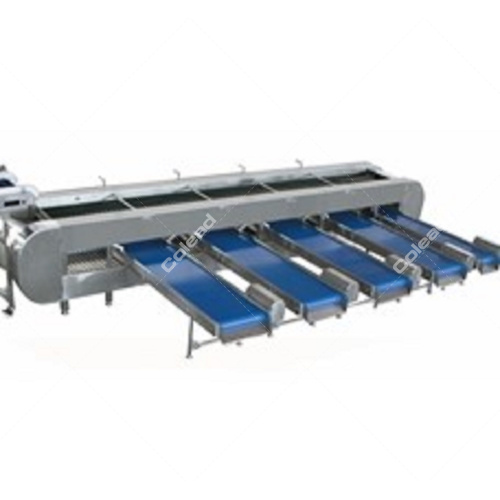 Tangerine Grading Machine for fruit processing line