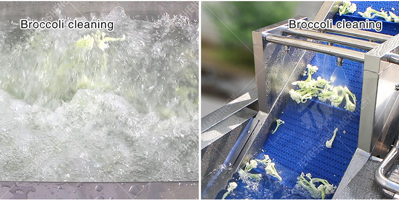 Commercial multi-function vegetable washing machine