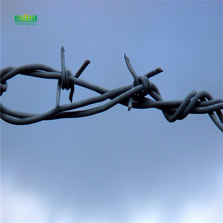 Barbed wire price per kg