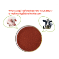 Animal Nutrition Enhancer Beta Carotène 10% Additif d'alimentation