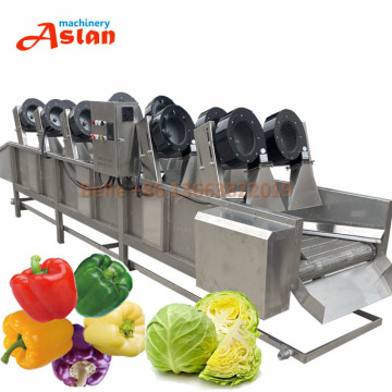 Automatic Tomato Drying and Packaging Machine