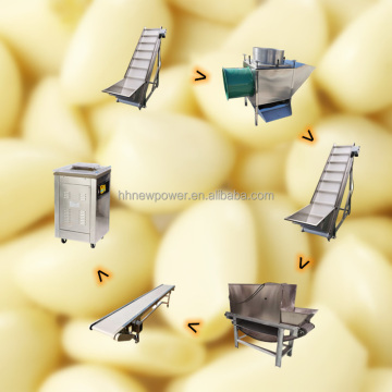 High Efficiency Garlic Peeling and Packaging Production Line
