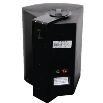 6.5inch Pro Wall Mount Speaker With Power Tap