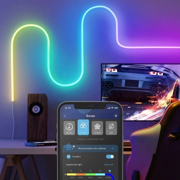 12/24V IP67 Waterproof Multicolor Neon Rope Light with RF Remote Controller