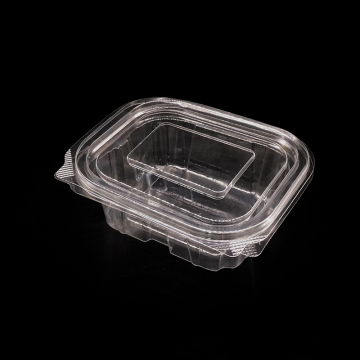 Disposable Square Salad Boxes - Clear Plastic Food Containers with Lids