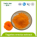 20% Tagetes erecta Extract Lutein Powder