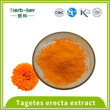 20% Tagetes Erecta Extracto de polvo de luteína