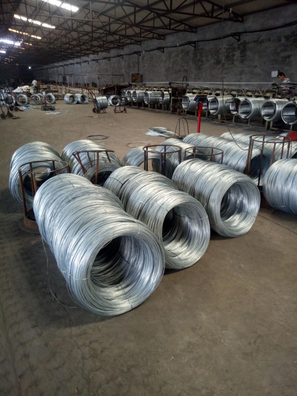 Electro Galvanized Binding Wire