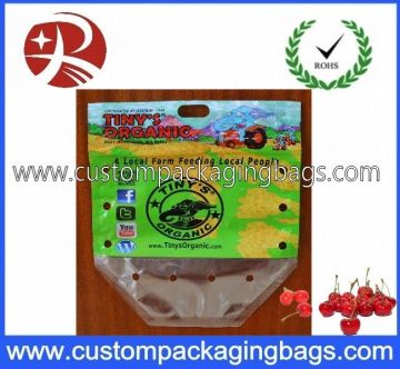 Pp Slider Ziplock Fruit Packing Bag With Holes For Strawberry