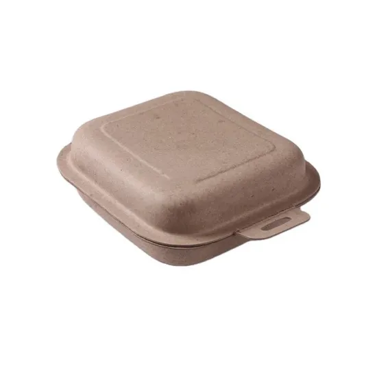 Recycled eco-friendly paper pulp molded packaging box