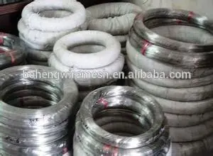 SS Brush Wire For Sales