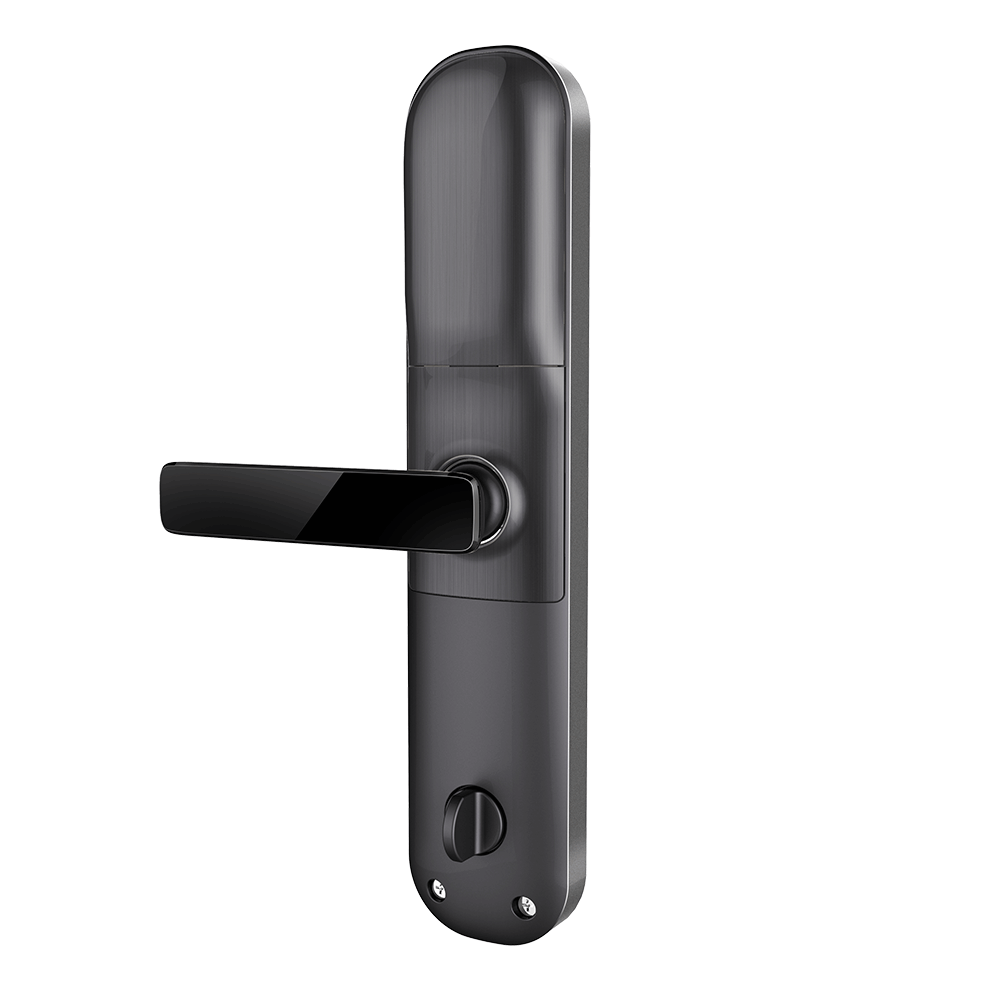 Smart Lock with Digital Password Entry