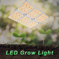 La serre à la plante LED a utilisé la lumière de poussée à la LED