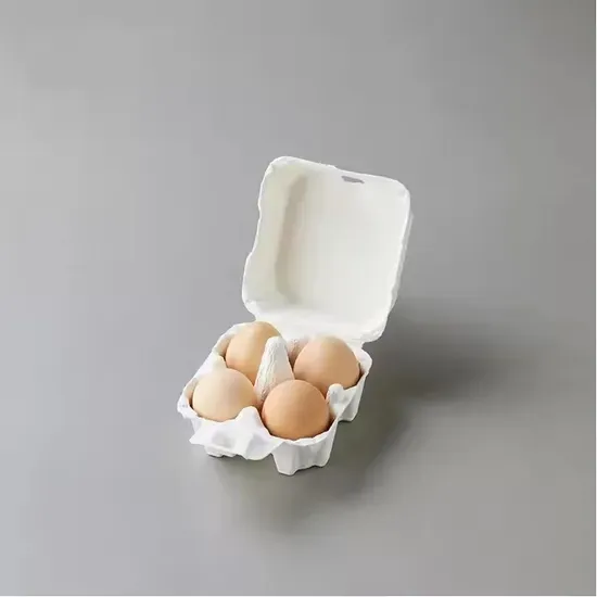 Sustainable Egg Tray Solution with Perforated Paper Design