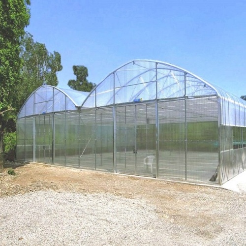 Reinforced Commercial Plastic Greenhouse with Equipment