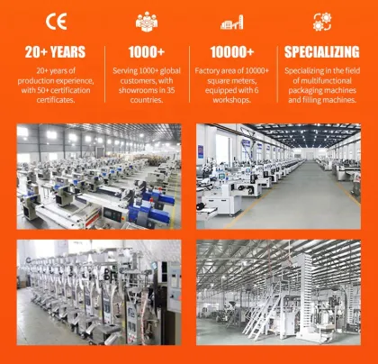 BG Automatic Chilli Curry Spice Packing Machines