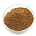 10% de ácido clorogênico Ulmoides Lark Extract Powder