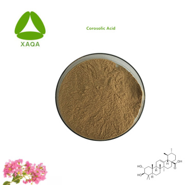 Herb Lower Glucose Banaba Leaf Extract Corosolic Powder