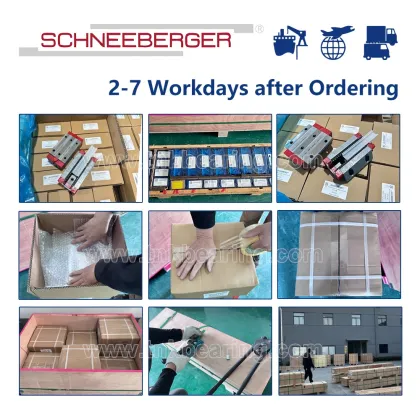 Search Engine for SCHNEEBERGER BM MR Series Linear Motion Guides in Various Sizes