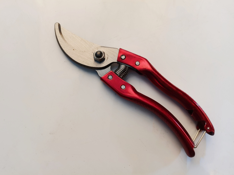 Factory Outlet SK5 Professional Bypass Pattern Pruning Garden Shear Hand Garden Tools