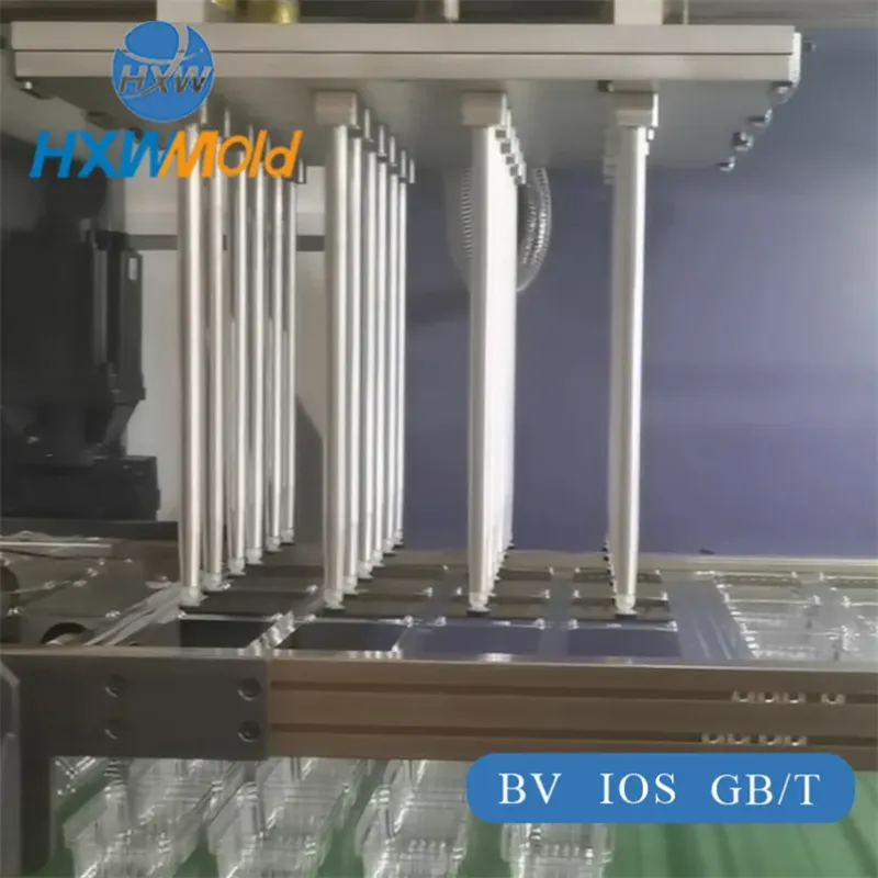 Custom Plastic Lunch Box Thermoforming Mold