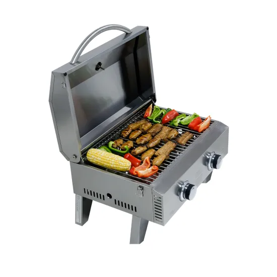 Hyxion stainless steel outdoor portable gas bbq grills