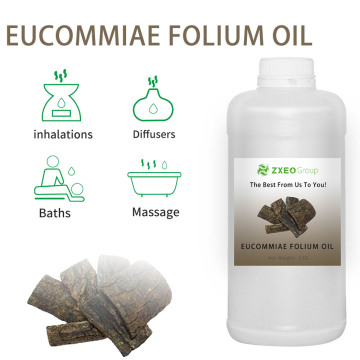 Preço em massa por atacado Eucommia Organic 100% puro natural de eucommia Óleo