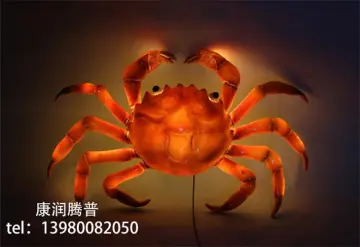 Outdoor Waterproof Crab Lights