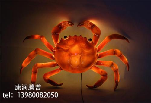 Lumières de crabe imperméables extérieures