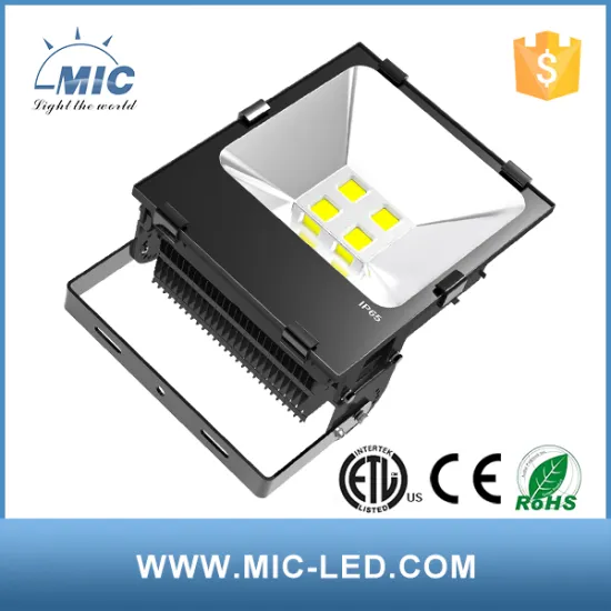 MIC 10w 20w 30w 50w 80w 100w 120w 150w 200w led floodlight