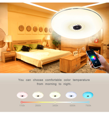 bluetooth ceiling lamp