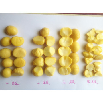 Dandong chestnut segar untuk dijual