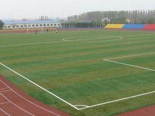 Diamond Shape PE Futsal Landscaping Artificial Grass Recycl