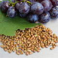 USP Standard Grape Seed Extract Powder