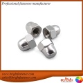 DIN1587 Hex Domed Cap Nuts High Type