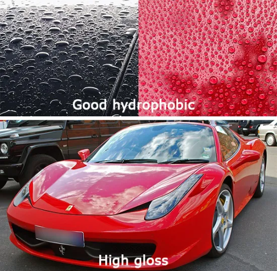 car paint protection ceramic coating