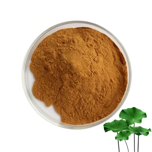 High Quality Lotus Leaf Extract Nuciferine 2% 98%