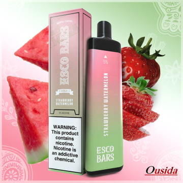 disposable electronic cigarette 5000puff