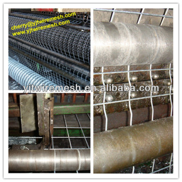 High Quality 1" galvanized welded wire mesh (ISO)