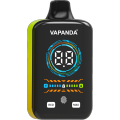 Vapanda Pro 40k sekali pakai vape