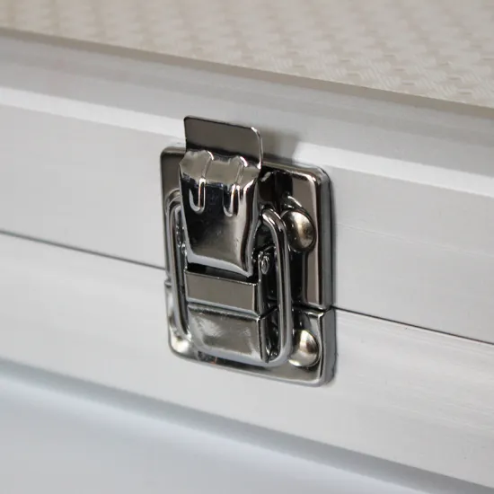 2Pcs/lot Fastener Toggle Latch Catch Chest Case Suitcase Boxes Chests Trunk Lock