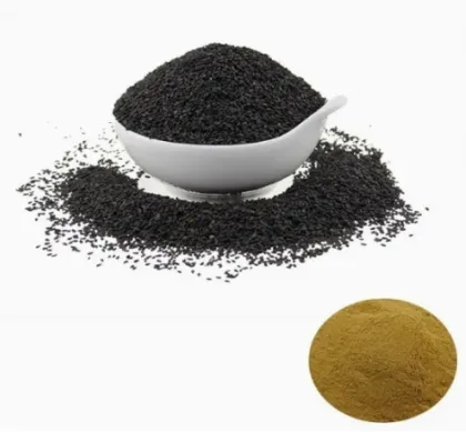 Natural Black Sesame Seed Extract Sesamin 98% Powder