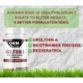 Private Label Urolithin A Capsules for Energy Supplement