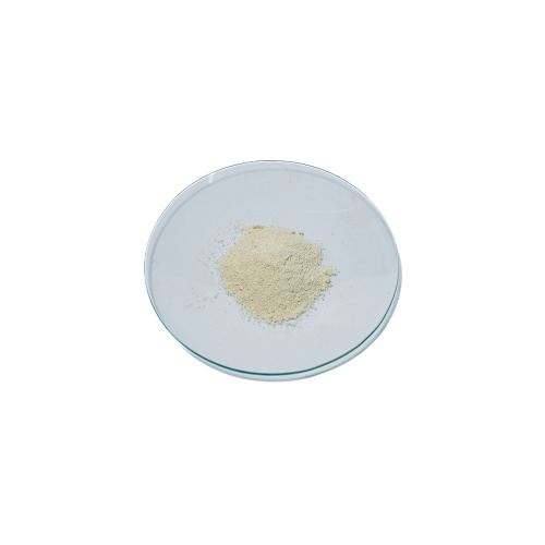 China Soybean Phospholipid powder Non pollution Supplier