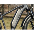 High quality 8 speed aluminimum alloy frame electric bicycle